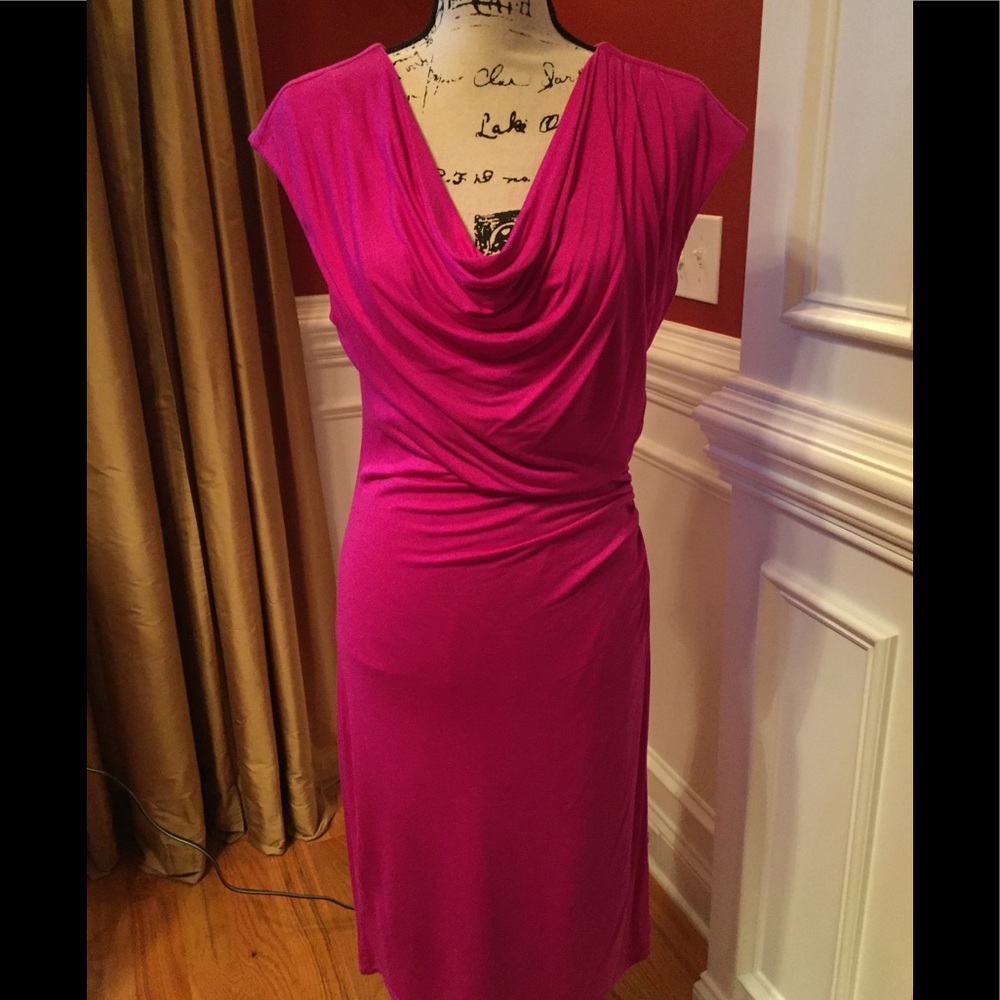 Gorgeous Ann Taylor dress in deep pink